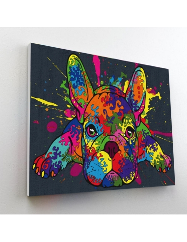 Painting By Numbers Splat Planet French Bulldog, 30x40cm