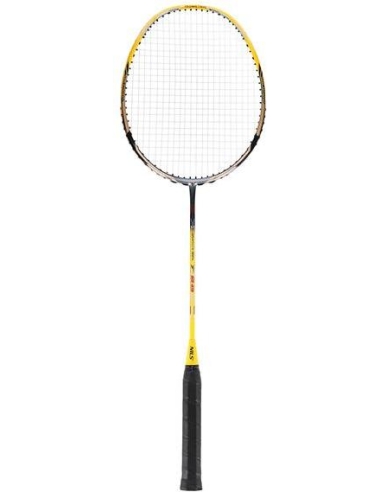 Badmintono raketė su dėklu Nils NR419 Carbon