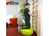 Švediška gimnastikos sienelė inSPORTline Steadyline 240x90cm
