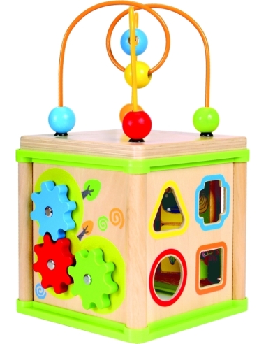 Activity cube 5in1