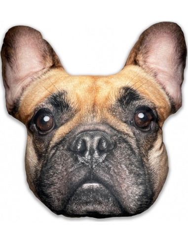 Splat Planet souvenir cushion FRENCH BULLDOG