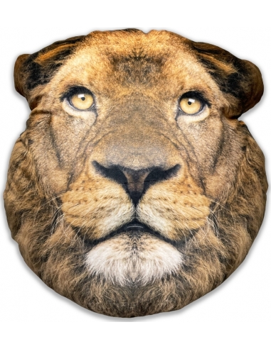 Splat Planet souvenir cushion LION