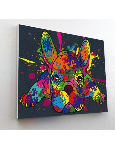 Splat Planet painting by numbers, FRENCH BULLDOG 30x40 cm