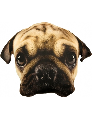 Splat Planet souvenir cushion PUG