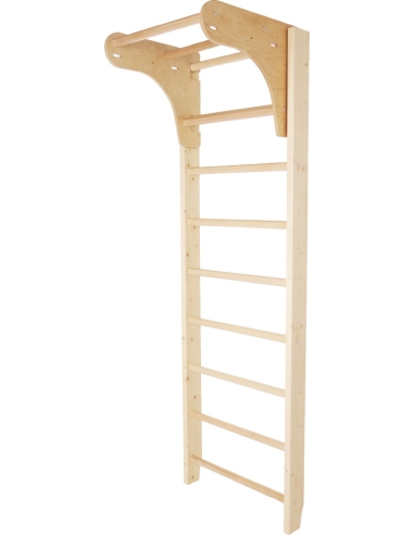 Gimnastikos sienelė su skersiniu prisitraukimams inSPORTline Steadyline, 220x65cm