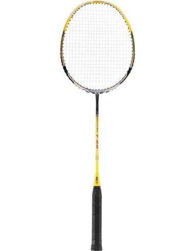 Badmintono raketė su dėklu Nils NR419 Carbon