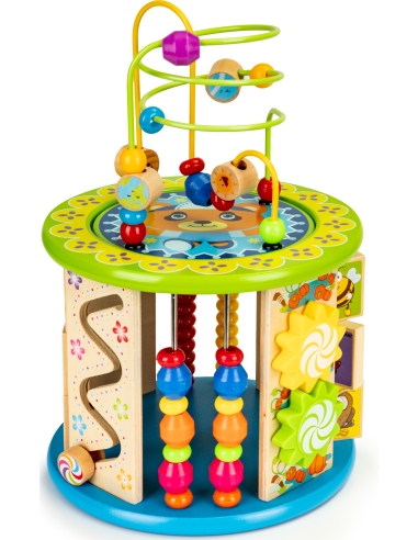 Medinis edukacinis kubas EcoToys